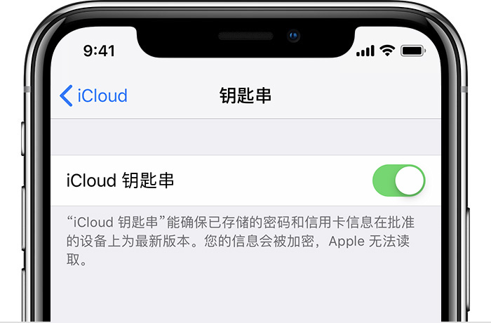 如何更改 iCloud 钥匙串中储存的密码？