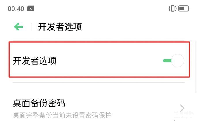 开发者选项在哪里打开