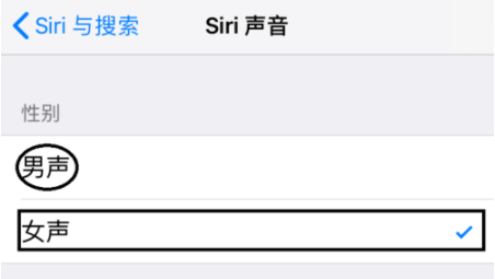 苹果手机设置siri声音的图文操作方法