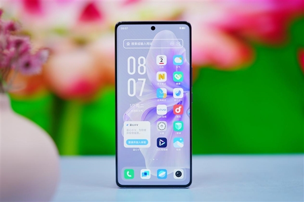 小荔枝纹素皮！vivo S18菱紫图赏