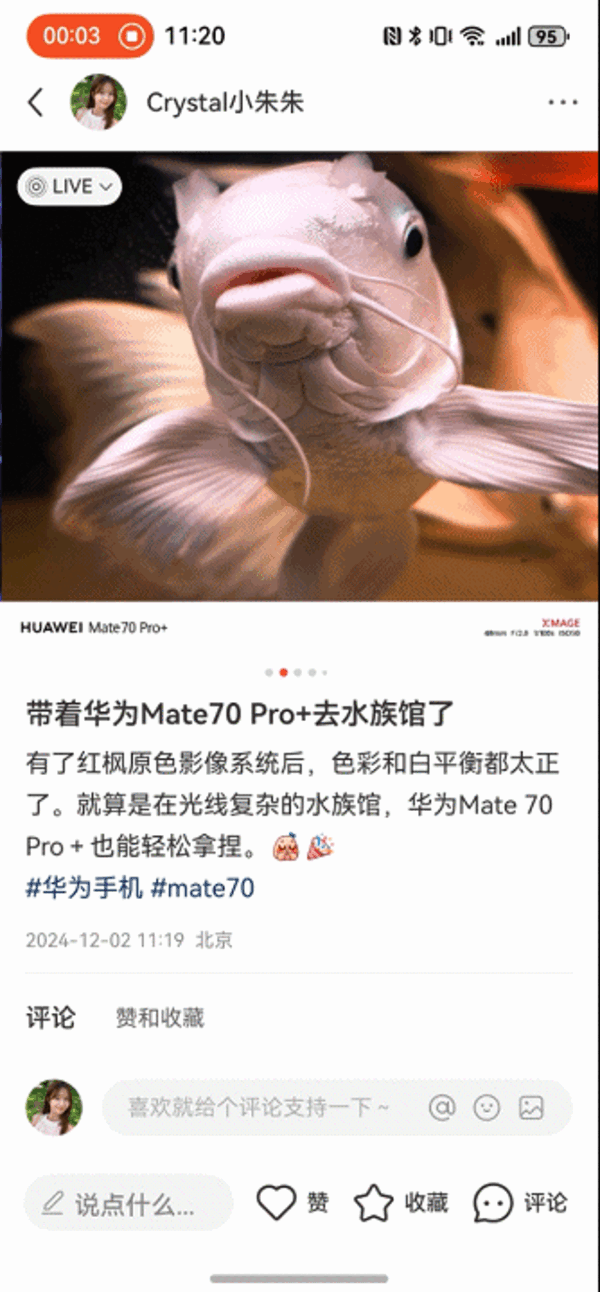 Live图原来是这般查看的 华为Mate70和安卓用户表示学到了