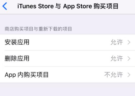 如何在 iPhone 上阻止应用内购项目？