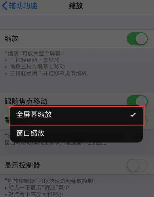 小技巧：利用“缩放”功能调整 iPhone 屏幕亮度