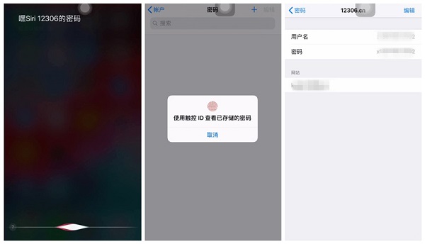 iPhone XS/XS Max 如何进行有效的密码管理？