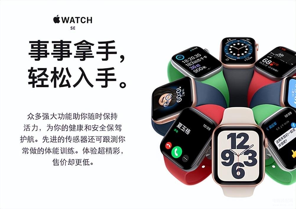 iphone watch怎么选